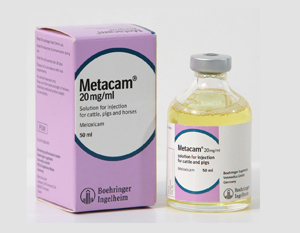 Метакам инъекционный 20мг/мл (Metacam Injection 20mg/ml)